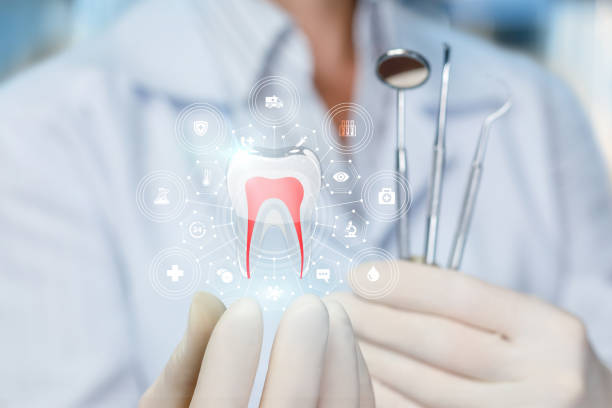 Professional  Holistic Dental Services in Frostburg, MD